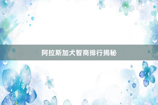 阿拉斯加犬智商排行揭秘