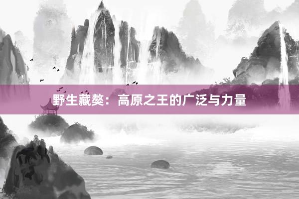 野生藏獒：高原之王的广泛与力量